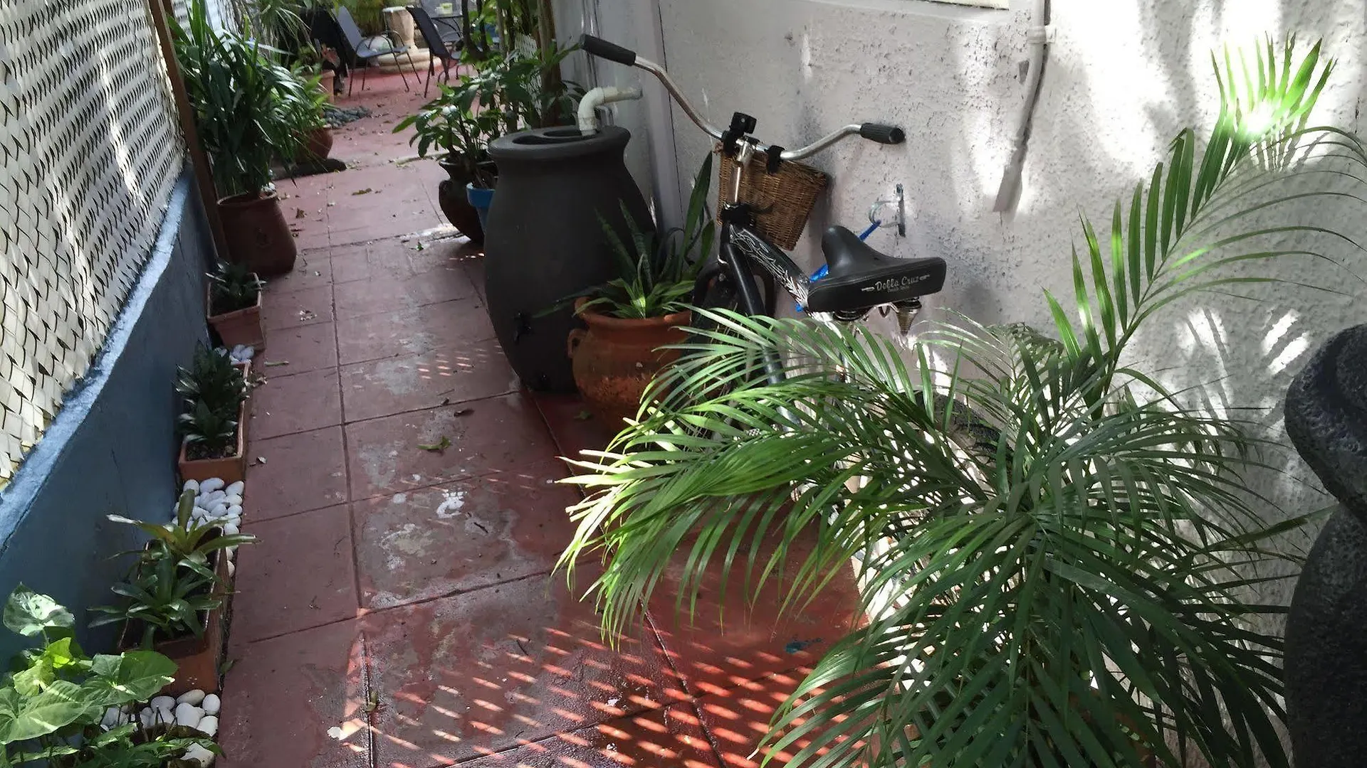 Studio With Modern Amenities, Walk-In Shower, Jacuzzi, Beach, And Pool, (Adults Only) San Juan